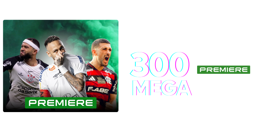 300MBpremiere (1)